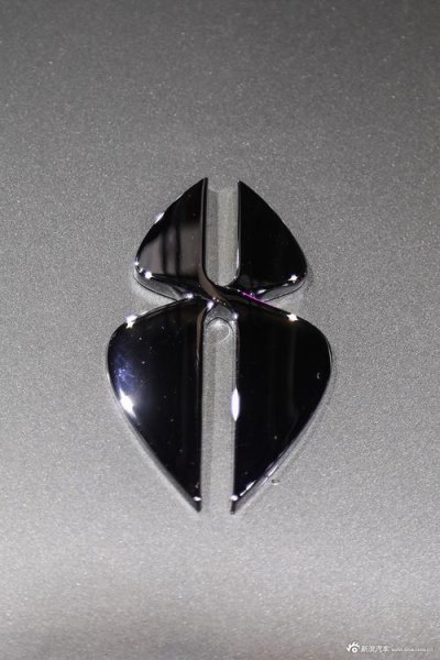 和奇点车标相似的? 和奇点车标相似的?