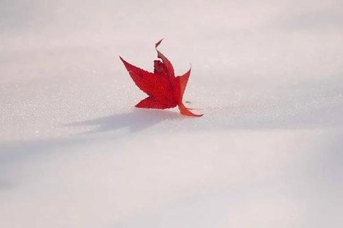 活得“通透”的人,都知道哪些不成文的“禁忌”? 活得“通透”的人,都知道哪些不成文的“禁忌”?