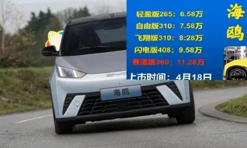 比亚迪海鸥实际跑多少公里? 比亚迪海鸥实际跑多少公里?