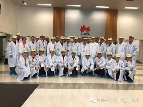 华为工厂在哪里? 华为工厂在哪里?