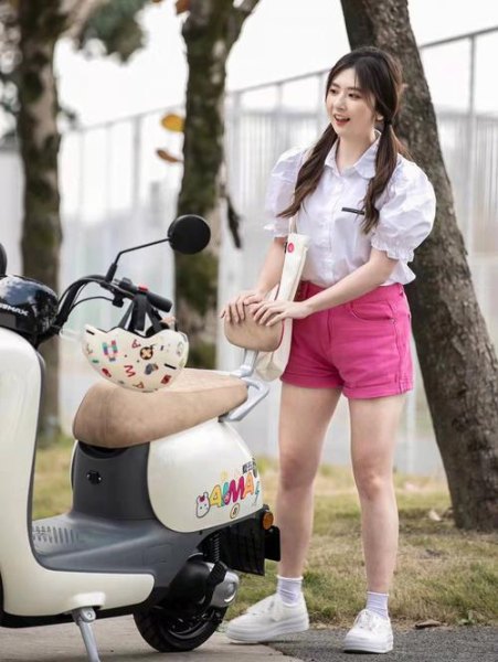 爱玛露娜w290和雅迪q6区别? 爱玛露娜w290和雅迪q6区别?