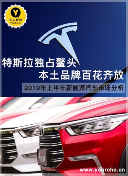 国产新能源汽车品牌如今百花齐放，那个品牌更有可能超越特斯拉？