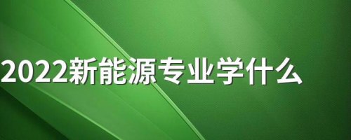 哪些大专院校有新能源电池专业的？
