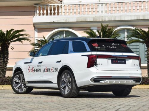 理想L9实车曝光！比红旗E-HS9还大，45万起值吗？