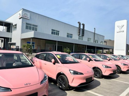 哪吒汽车公司介绍？