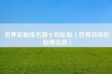 2023世界轮胎销量排行前10为何没有玛吉斯？