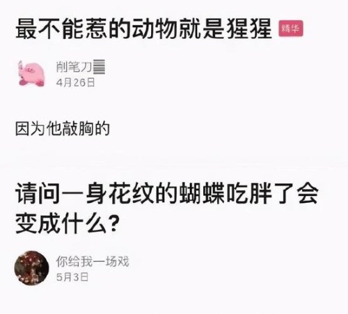 最近哪些梗让你笑出声？