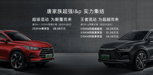 唐dmp云辇怎么升级？