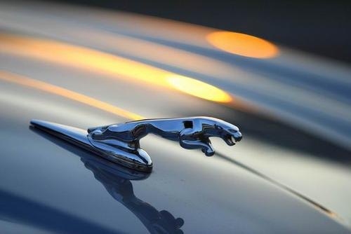 和捷豹车标志最相似的是哪种牌子的车？