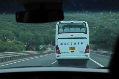 坐大巴回家能不能带鸟？