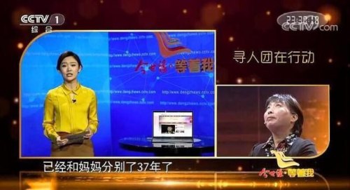 等着我网站怎样联系寻亲者？