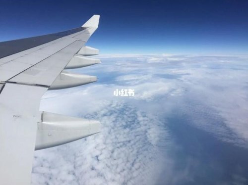 出去旅游，是坐车还是坐飞机好呢，还是自驾好？为什么？