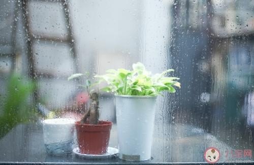坐车里听雨声的文案？
