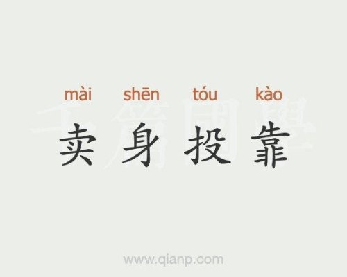 投靠什么意思？