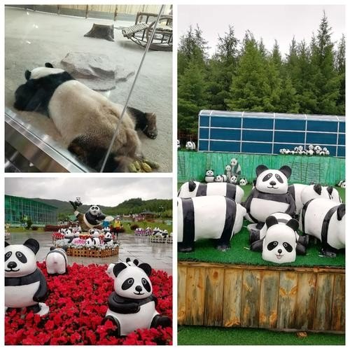 亚布力熊猫馆开车和坐车哪个划算？