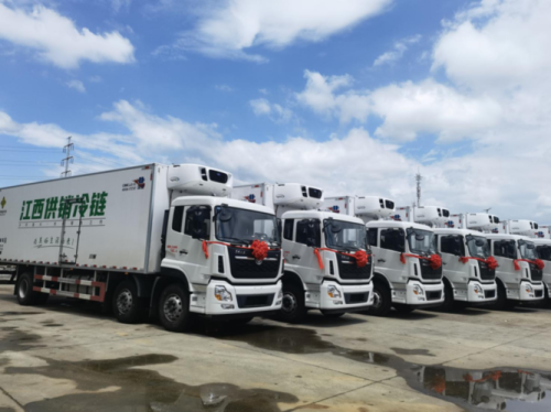 买冷链车跑绿通运输靠谱吗？