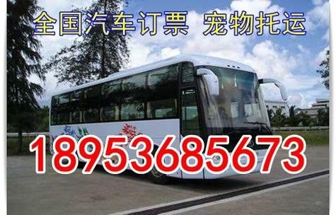 320公里大巴车费多少？