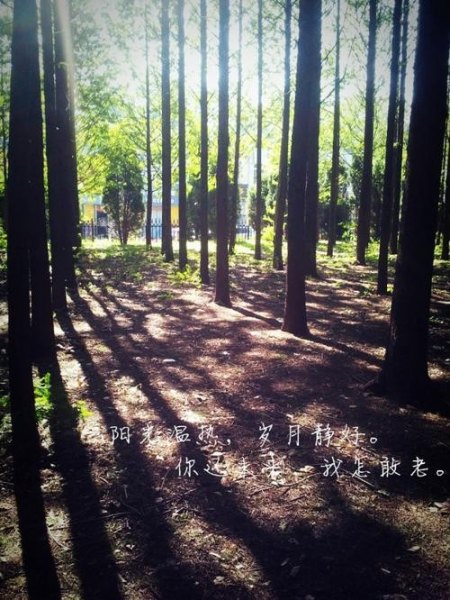 阳光温热,岁月静好,你还不来,我怎敢老去,请问是何意思? 阳光温热,岁月静好,你还不来,我怎敢老去,请问是何意思?