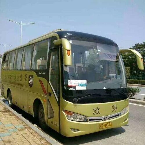 买大巴跑旅游怎么样？
