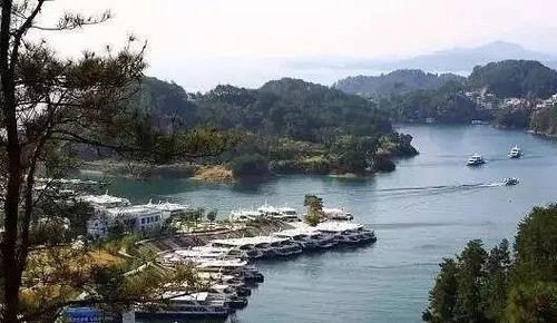 王阜至千岛湖班车？