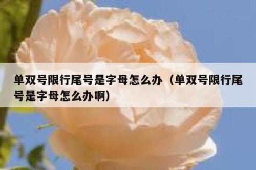 单双号后面是字母怎么区分? 单双号后面是字母怎么区分?