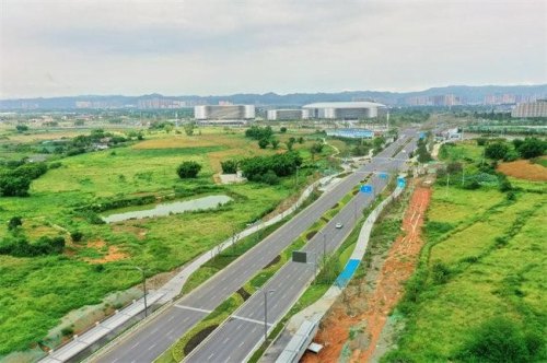 大运村到赛场的专用道路？