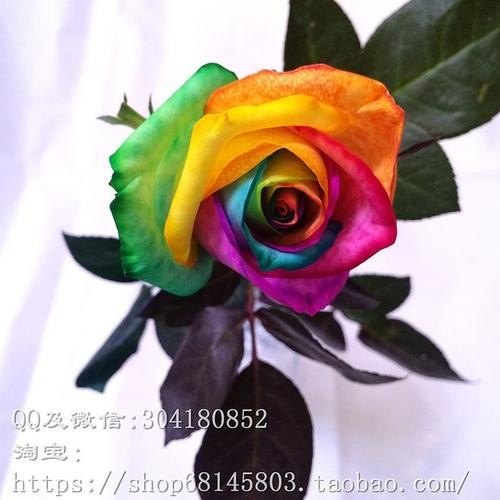 七彩和多彩的区别？