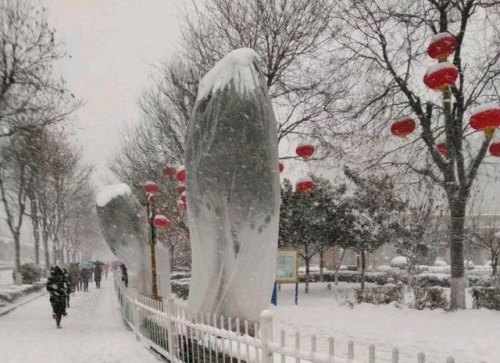 2022西安元旦会下雪吗？