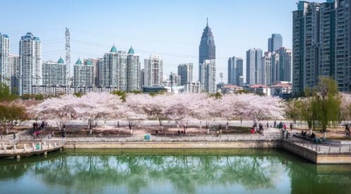 3月份后期,外地的可以去武汉吗? 3月份后期,外地的可以去武汉吗?