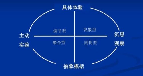 kolb的风格模型不包括哪个？