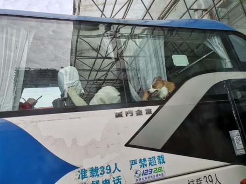 客车让带宠物吗? 客车让带宠物吗?