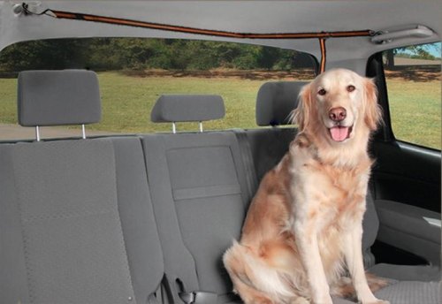 长途客车可以带宠物么？