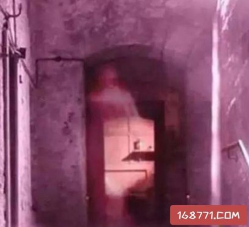 你听说过哪些骇人听闻的真实事件？