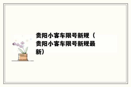 贵阳关于调整小型客车尾号限行规定的通告, 你怎么看？