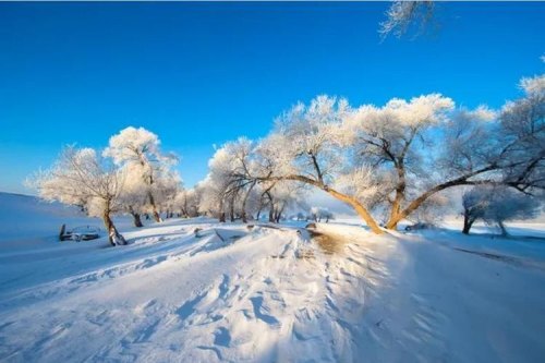 内蒙古最冷的地方？