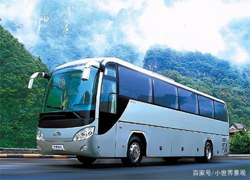 城际大巴可以带宠物吗？