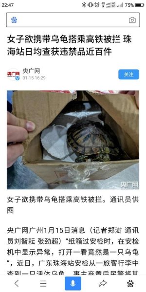 高铁带乌龟被发现了怎么办? 高铁带乌龟被发现了怎么办?