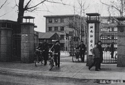 济南大学历史？