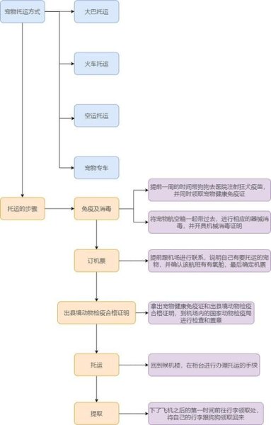 中铁宠物托运流程？