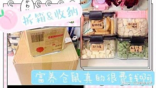 小仓鼠快递怎么运输收费？