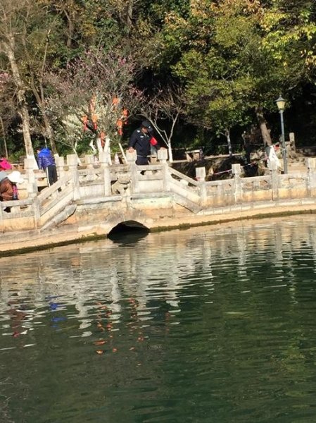 昆明黑龙潭公园可以带宠物吗？