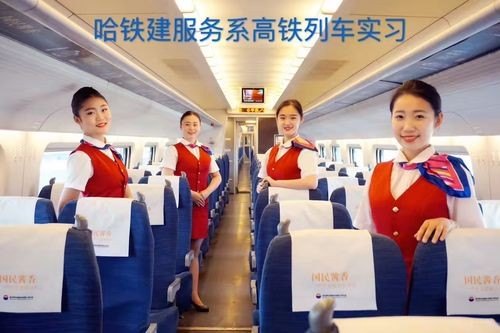 哈尔滨哪所学校有高铁乘务专业？