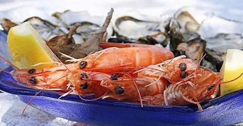 人不坐车高铁可以运海鲜吗？