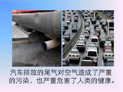汽车尾气对动物的危害？