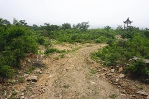 独自一人在荒山野岭搞养殖如何克服恐惧? 独自一人在荒山野岭搞养殖如何克服恐惧?