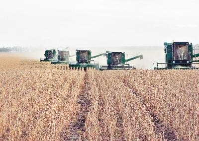 克东县包一亩地多少钱? 克东县包一亩地多少钱?