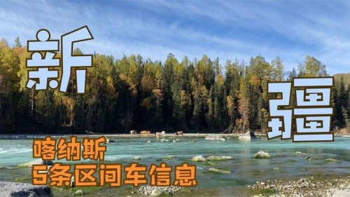 喀纳斯区间车往返多少时间? 喀纳斯区间车往返多少时间?