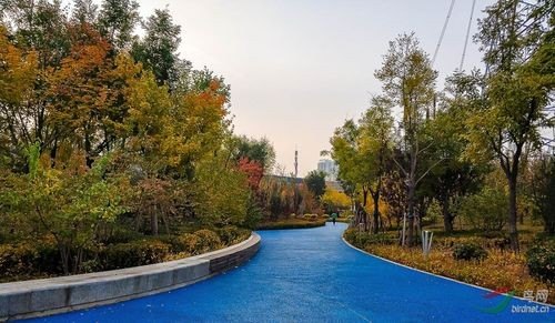 太原遛弯好去处？