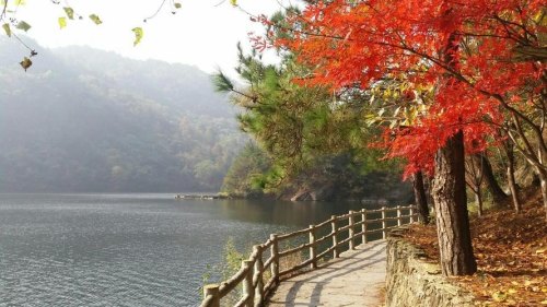 武汉周边自驾免费一日游？