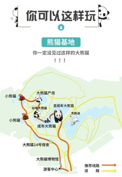 去四川看大熊猫最优路线？